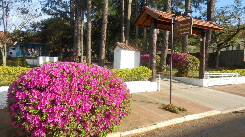 Pousada Pinhal Alto Nova Petropolis Exterior foto